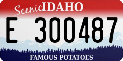 ID license plate E300487
