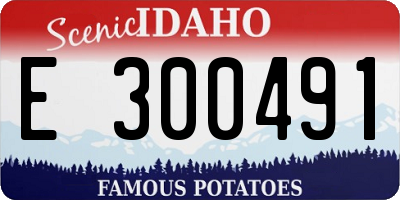 ID license plate E300491