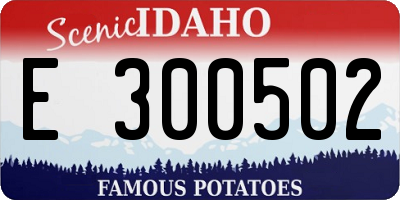 ID license plate E300502