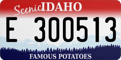 ID license plate E300513