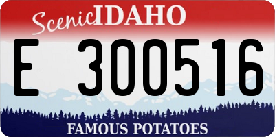 ID license plate E300516
