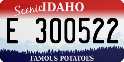 ID license plate E300522
