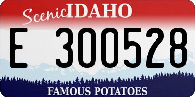 ID license plate E300528