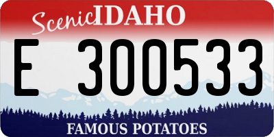 ID license plate E300533