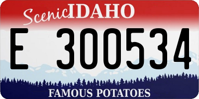 ID license plate E300534