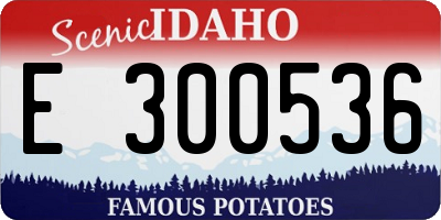 ID license plate E300536
