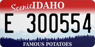 ID license plate E300554