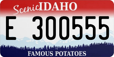 ID license plate E300555