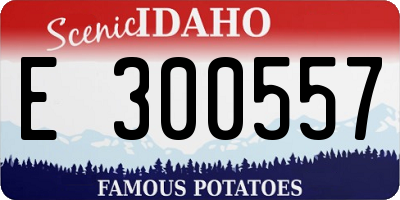 ID license plate E300557