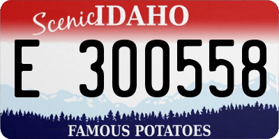 ID license plate E300558