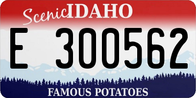 ID license plate E300562