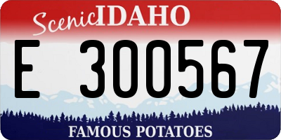 ID license plate E300567