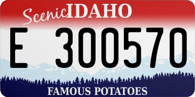 ID license plate E300570