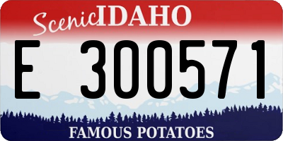 ID license plate E300571