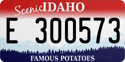 ID license plate E300573