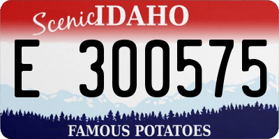 ID license plate E300575
