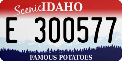 ID license plate E300577