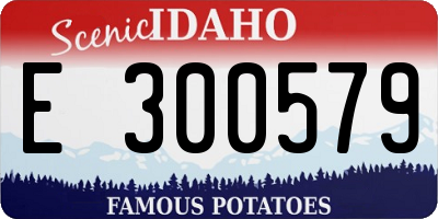 ID license plate E300579