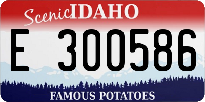 ID license plate E300586