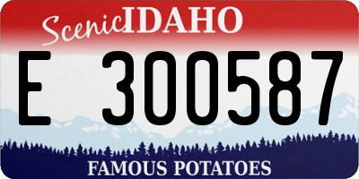 ID license plate E300587