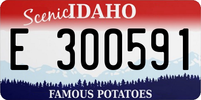 ID license plate E300591