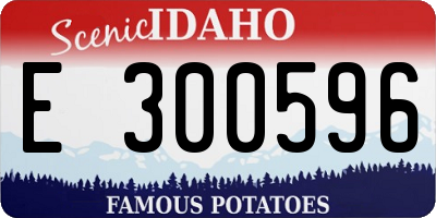 ID license plate E300596
