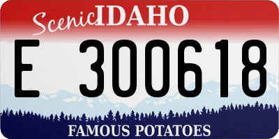 ID license plate E300618