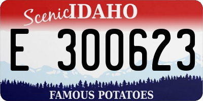 ID license plate E300623