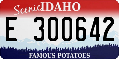 ID license plate E300642
