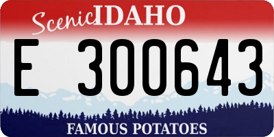 ID license plate E300643
