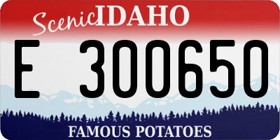 ID license plate E300650