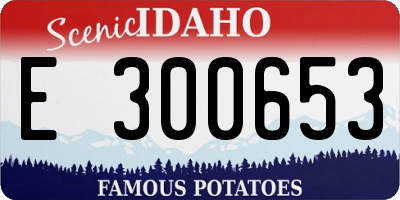 ID license plate E300653