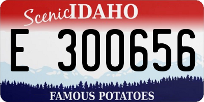 ID license plate E300656