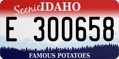 ID license plate E300658