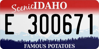 ID license plate E300671