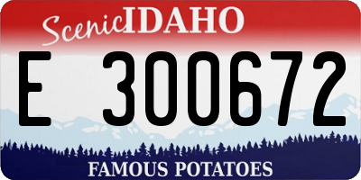 ID license plate E300672