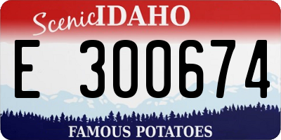 ID license plate E300674