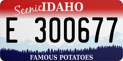 ID license plate E300677