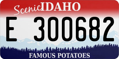 ID license plate E300682
