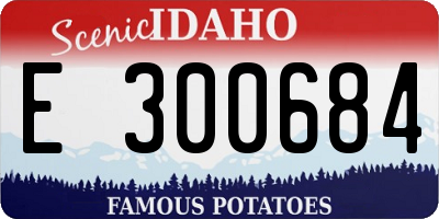 ID license plate E300684