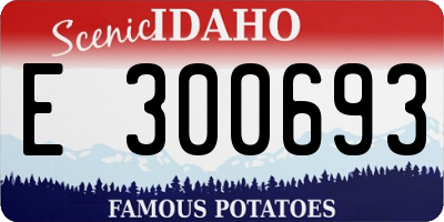 ID license plate E300693
