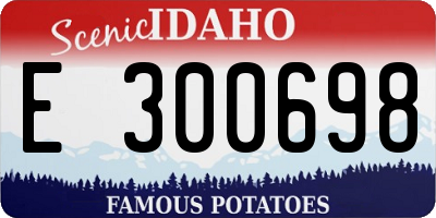 ID license plate E300698