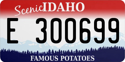ID license plate E300699