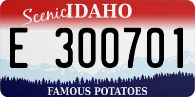 ID license plate E300701