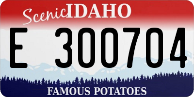 ID license plate E300704