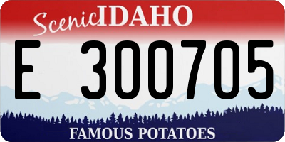 ID license plate E300705