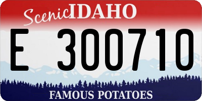ID license plate E300710