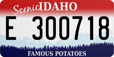 ID license plate E300718