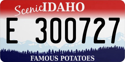 ID license plate E300727