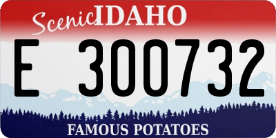 ID license plate E300732